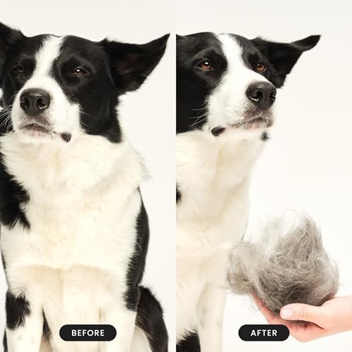 Pet Teezer De-Shedding Dog Brush for Short Hair Breeds, Small, Navy & Blue - Image 5