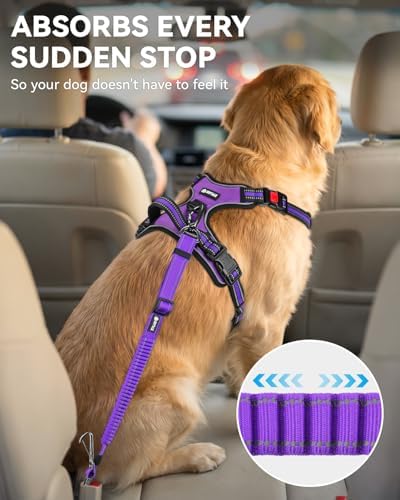 Joytale 3-in-1 Bungee Dog Seat Belt for Car, Medium and Large Dogs, Purple - Image 3
