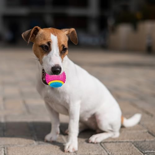 SPOT Sensory Ball for Soft Chewers - Stimulates All 5 Senses, Bell & Squeaker Sounds, Raised Nubs Clean Teeth, High Contrast Fetch Toy, Beef Scented, Durable TPR Rubber Ball, 2.5-inch - Image 5