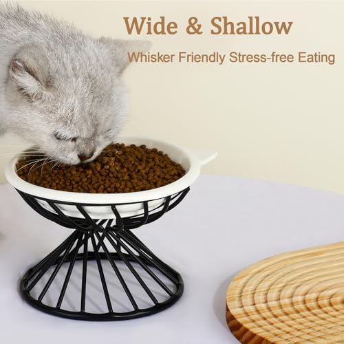 Elevated Cat Bowls,6.3" Wide Raised Ceramic Cat Food Bowl with Anti-Slip Metal Stand for Indoor Cats,Whisker Friendly,Protect Pet's Spine Pet Food Dishes for Flat Faced Cats and Kitten (White) - Image 2