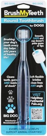 Brush My Teeth Big Dog Toothbrush, Rounded Brush Head with Soft Flexible Bristles for Safe and Gentle Brushing for Dogs, Any Large Breed or Puppy, Daily Brushing Adds Years of Healthy Life by BrushMyTeeth