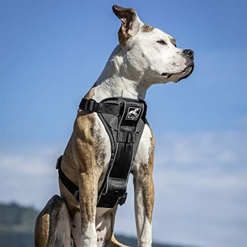 Kurgo Tru-Fit Smart Harness, Black, Extra Large - Image 4