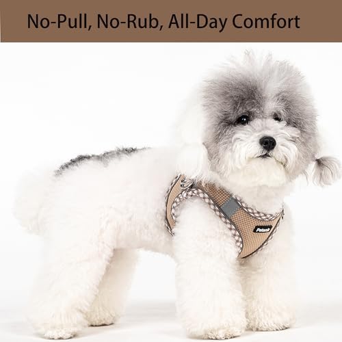 Petank Step in Dog Harness No Pull and Leash for Small Medium Dogs Cats. - Image 2