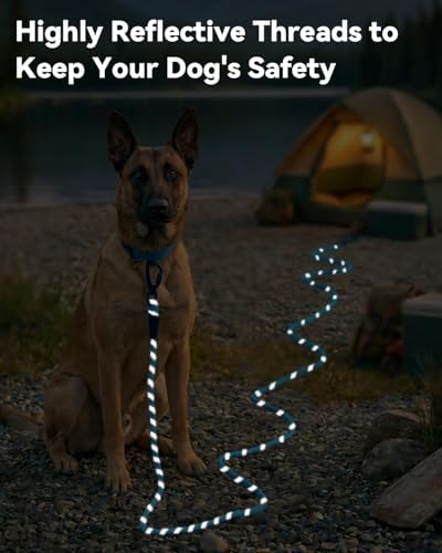 Joytale Long Dog Leash for Yard Tie Out & Recall Training, Blue, 65FT - Image 4