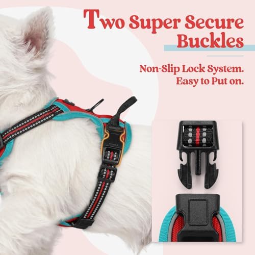 rabbitgoo Dog Harness, No Pull for Small Dogs with 2 Leash Clips, Pet Vest - Image 3