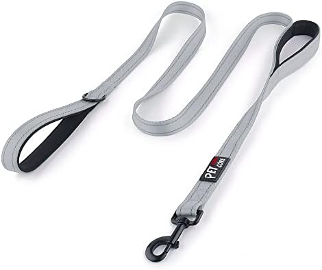Plutus Pet Double Handle Dog Leash, 5 FT Long, for Medium Large Dogs by PLUTUSPET