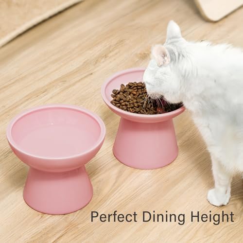 CEEFU 2-Pack Elevated Ceramic Cat Bowls Extra Wide for Food & Water - Image 5