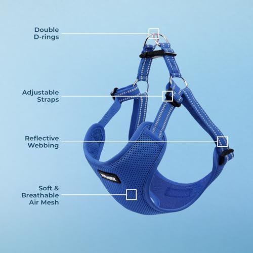 Voyager Step-in Flex Adjustable Dog Harness - Royal Blue, Medium - Image 3