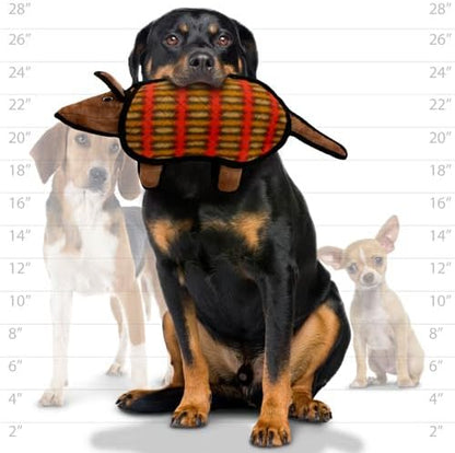 Tuffy Desert Armadillo