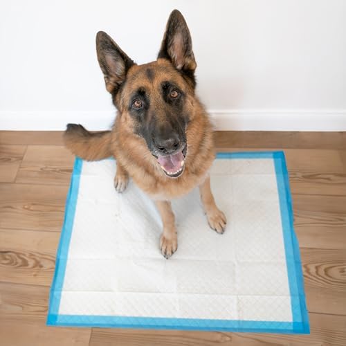 Four Paws Wee-Wee Superior Performance Extra Large Pee Pads for Dogs with Runoff Barrier Edge Guard Protection, Puppy & Dog Potty Training Pads, Housebreaking Supplies, 28" x 34" (40Count) - Image 6