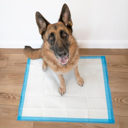 Four Paws Wee-Wee Superior Performance Extra Large Pee Pads for Dogs with Runoff Barrier Edge Guard Protection, Puppy & Dog Potty Training Pads, Housebreaking Supplies, 28" x 34" (40Count) - Image 6