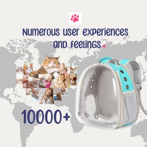 Dual Expandable Large Cat Backpack Carrier - Image 5