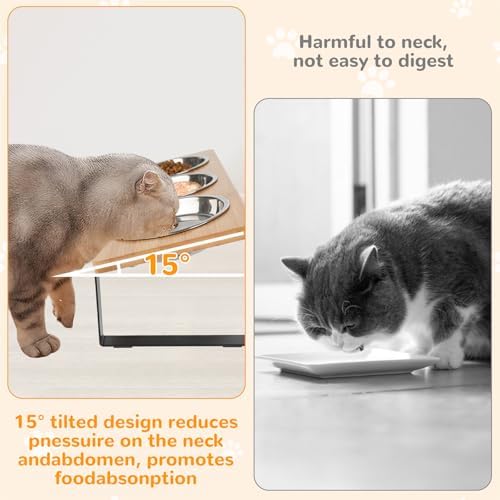 Elevated Cat Bowls with 3 Stainless Steel, 15° Tilted Raised Cat Bowl Set, for Indoor Cats for Small Cats and Puppies Pet Bowls with Stand - Image 2