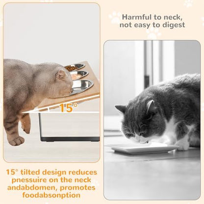 Elevated Cat Bowls with 3 Stainless Steel, 15° Tilted Raised Cat Bowl Set, for Indoor Cats for Small Cats and Puppies Pet Bowls with Stand - Image 2