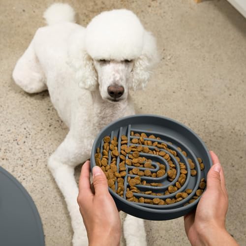 Slow Feeder Dog Bowl - Silicone Dog Bowl, Large, 9.5" x 1.5" - Charcoal - Image 5