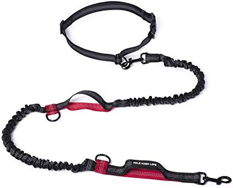 Mile High Life Hands Free Leash, Waist Leash for Dog Running Training and Jogging, Adjustable Belt with Double Padded Handle, Reflective Bungee for Medium Large Dogs (Red, 7FT) by MileHighLife
