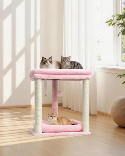 SYANDLVY Small Cat Tree for Indoor Cats with 2 Levels Perch Platforms - Image 2