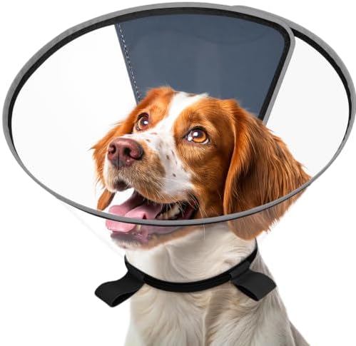 Clear Dog Cone for Medium Dogs Brittany, E-Collar After Surgery by Didopet