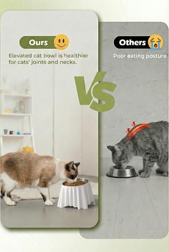 Elevated Cat Food Bowl, Raised Cat Bowls by 304 Stainless Steel,Stylish 3D-Printed Cat Feeding Bowl,12oz Cat Dishes for Cats & Puppies - Image 3