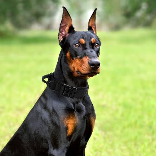 Tactical Dog Collar Leash Set, Adjustable Military Training Collar,Black XL - Image 6