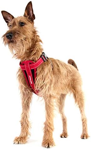 EzyDog Chest Plate No Pull Dog Harness, Escape Proof - Small, Corduroy - Image 3