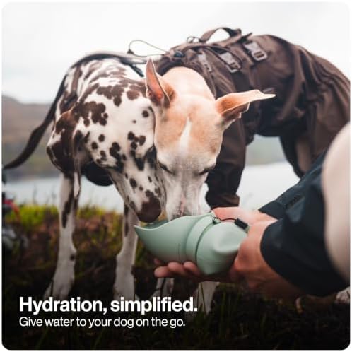 SÄKER Portable Dog Water Bottle, Collapsible Water Bottle for Dogs Perfect for Walking, Hiking and Outdoors | Works as a Portable Water Bowl | Designed in Montreal - 350ml - Image 2