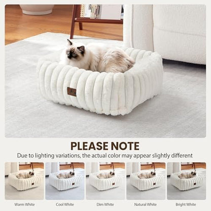 Cute Dog Bed for Small Dogs & Cats,Washable Fluffy Cat Beds for Indoor Cats, Rectangle Orthopedic Memory Foam Puppy Beds with Anti-Slip Bottom, 20 x19 x 6 Inches, Cream (20x19x6 inches) - Image 3