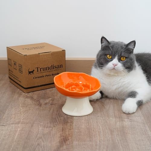 Ceramic Slow Feeder Bowl for Cats and Small Dogs, Elevated Tilted Pet Food Dish, Whisker Friendly Anti-Vomit Design, Heavy Stable Base, Dishwasher Safe， 5 Colors Options (Tangerine Orange) - Image 6