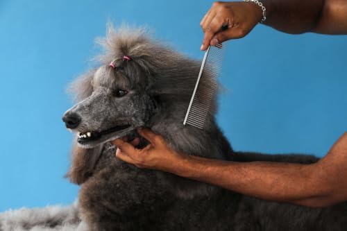 Andis 68550 Stainless Steel Pet Dematting Comb, 7.5in - Image 4