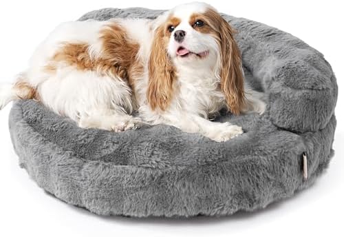 EHEYCIGA Soft Cat Couch Bed for Indoor Cats, Fluffy Small Dog Bed with Removable Washable Cover, Bolster Pet Sofa, Waterproof and Non-Slip, 24" x 24"x 7", Grey by EHEYCIGA