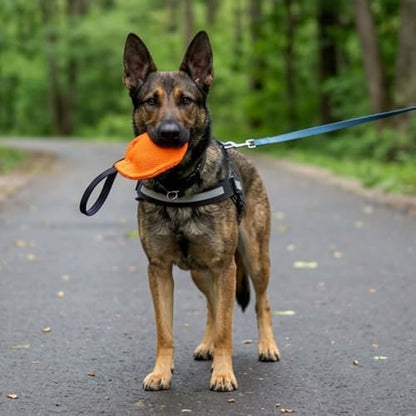 Dingo Gear Dog tug Toy, French Linen, disc, Orange 10,6in - Image 7