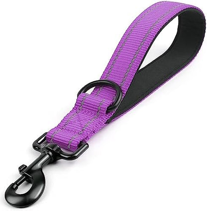 Joytale Short Dog Leash for Close Control & Training, 12", Purple by Joytale