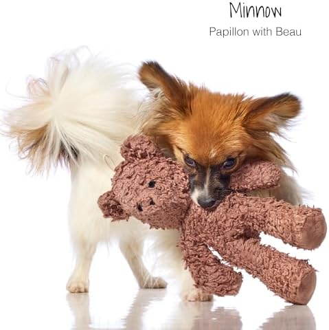 Pet Passion Plush Durable Cotton Dog Toys with Coconut Fill for All Pet Breeds, Bear, One Size - Image 2