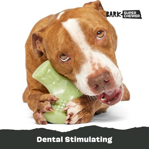 BarkBox Chopper Super Chewer - Toy for Large Dogs - Image 5