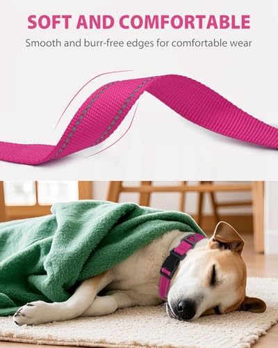 Joytale Feather-Light Dog Collar for Extra Large Dogs, 1 1/4", Hotpink - Image 3