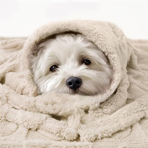 Luciphia 2 Pack Small Dog Blanket, Cozy Fleece Throw for Puppy Cat,30"x20" - Image 3
