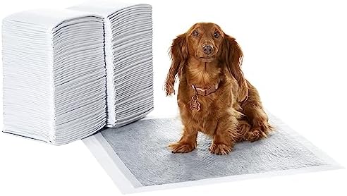 Amazon Basics Carbon Odor Control Dog and Puppy Pee Pads, 5-Layer Leak-Proof Super Absorbent, Quick-Dry Surface for Potty Training, Regular Size 22"x22", Gray, 120 Count by AmazonBasics