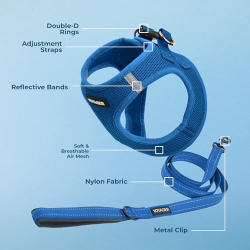Best Pet Supplies Voyager Step-in Air All Weather Mesh Harness and Reflective Dog 5ft Leash Combo with Neoprene Handle, for Small, Medium and Large Breed Puppies - Royal Blue, Large - Image 3