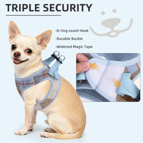 PUPTECK Dog Harness, Collar and Leash Set No Pull for Small Medium Sized - Image 5