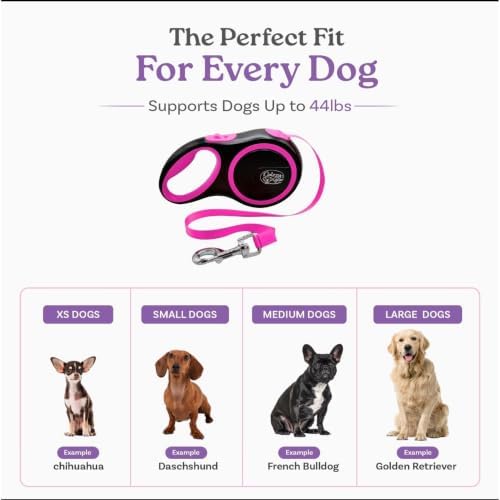 Retractable Dog Leash, 44 LBS /16FT Long, Small & Medium Dogs, Blue - Image 4
