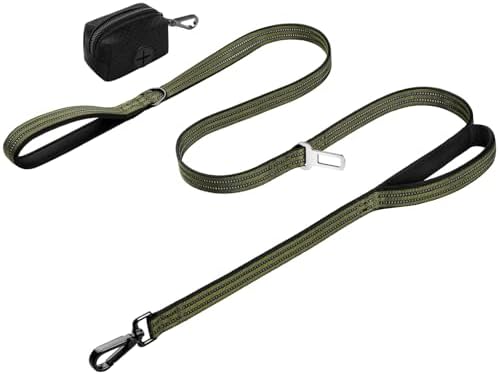 Double Handle Dog Leash with Poop Bag Holder and Car Seat Belt Buckle by WINGOIN