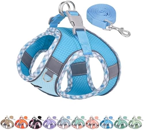 AIITLE Escape-Proof Dog Harnesss and Leash Set, Step in Pet Vest, Blue L by AIITLE-FORPETSBETTERLIFE