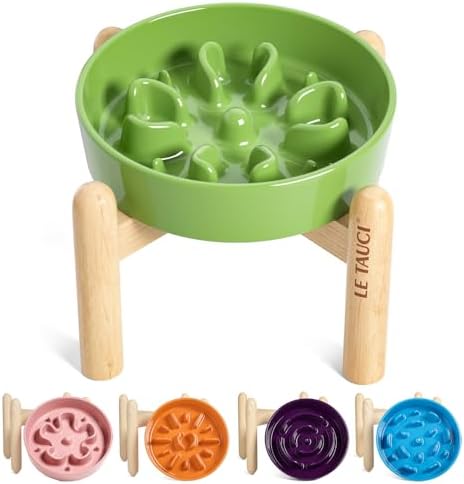 LE TAUCI Ceramic Slow Feed Dog Bowls, Elevated for Small Breeds, Anti-Gulping, Non-Slip, 6 inch, Green by LETAUCI