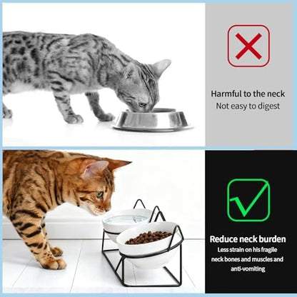 Elevated Cat Food Bowl,Ceramic Raised Water Bowl for Indoor Cats, 15°Tilted Metal Stand Anti Vomiting and Protect Spines,Whisker Fatigue Feeding Dishes,Non-slip and Dishwasher Safe - Image 4
