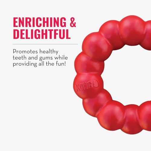 KONG Ring - Natural Rubber Ring Toy for Healthy Chewing Habits - Chew Toy Supports Dog Dental Health - Dog Toy Supports Instincts During Playtime - for Small/Medium Dogs (Pack of 2) - Image 6