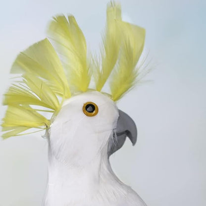 White Feathered Display Cockatoo Bird with Vibrant Yellow Head Feather Crest - Tikki Restaurant Prop, Pirate Costume or Baretta Fake Bird