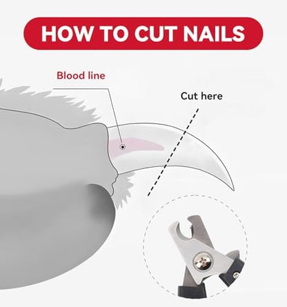 4.72 inch Dog Nail Clippers for Small Dogs with Free Nail File - Image 3