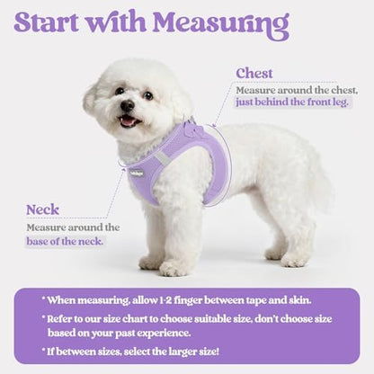 rabbitgoo Dog Harness Small Sized and Leash Set, Step-in Puppy Pet Vest - Image 2