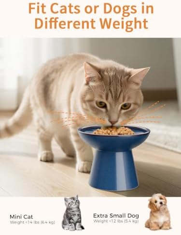 LoeJan Elevated Food and Water Bowls Set, Extra Wide and Raised Ceramic Feeder, Anti-Vomit Whisker-Free Pressure Cat Feeding Bowl for Kittens Adult Cats Small Dogs - Image 6