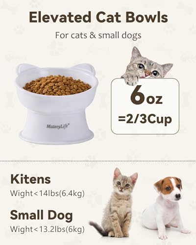 MateeyLife 2 Pack Elevated Cat Food Bowls for Indoor Cats & Kittens - Image 6